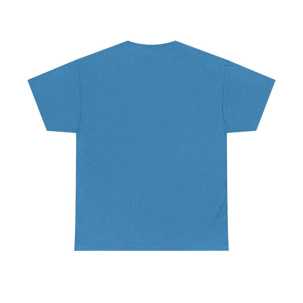 Celebrate July 4th Cute Graphic T-shirt